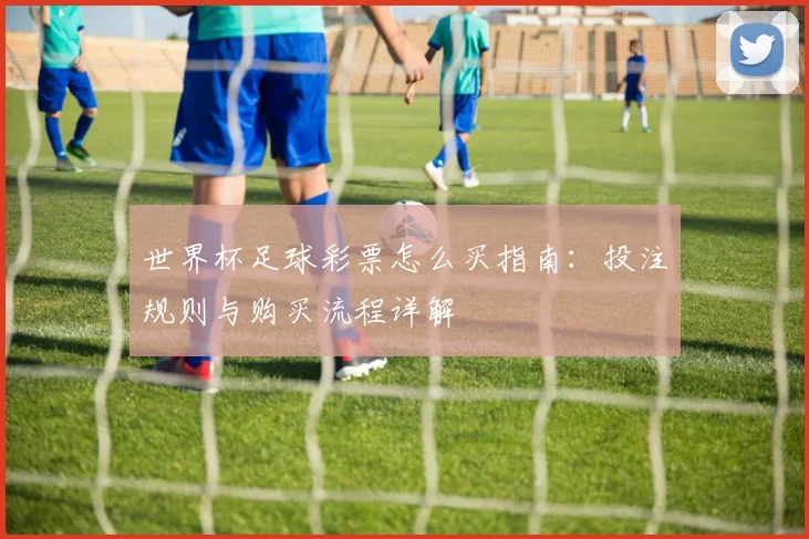 世界杯足球彩票怎么买指南：投注规则与购买流程详解