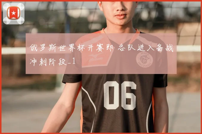 俄罗斯世界杯开赛即 各队进入备战冲刺阶段_1